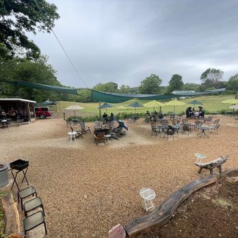 BREWING TREE BEER COMPANY - Updated March 2026 - 107 Photos & 69 ...