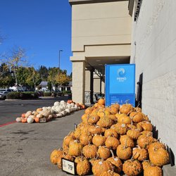 Safeway - 10/10/2024 - Halloween is coming!