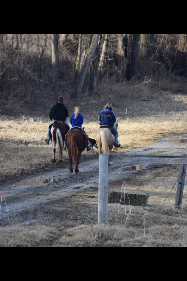 Horse Creek Trails - equestrian in Astoria, IL
