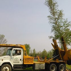 Heritage Tree Care - Planting trees for future generations