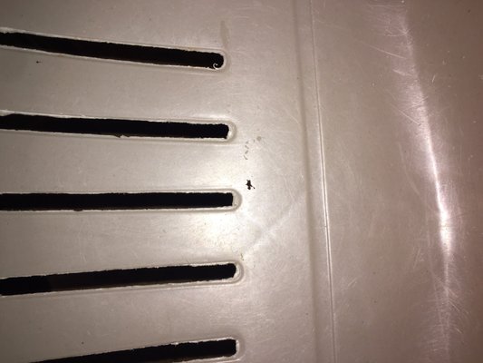 Almost Paradise Tanning