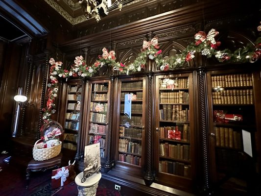 Victoria Mansion by null