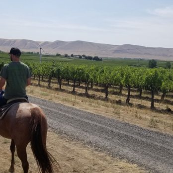 Red Mountain Trails - Horse backing riding through beautiful vineyard fields - Tours Near Me Red Mountain Trails - Horse backing riding through beautiful vineyard fields - Tours Near Me