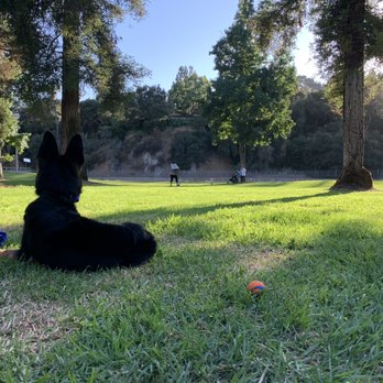 K9 Logic Dog Training - Pet Training Near Me - Glendale, California K9 Logic Dog Training - Pet Training Near Me - Glendale, California
