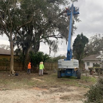 Lopez Tree Services - Tree Services Near Me