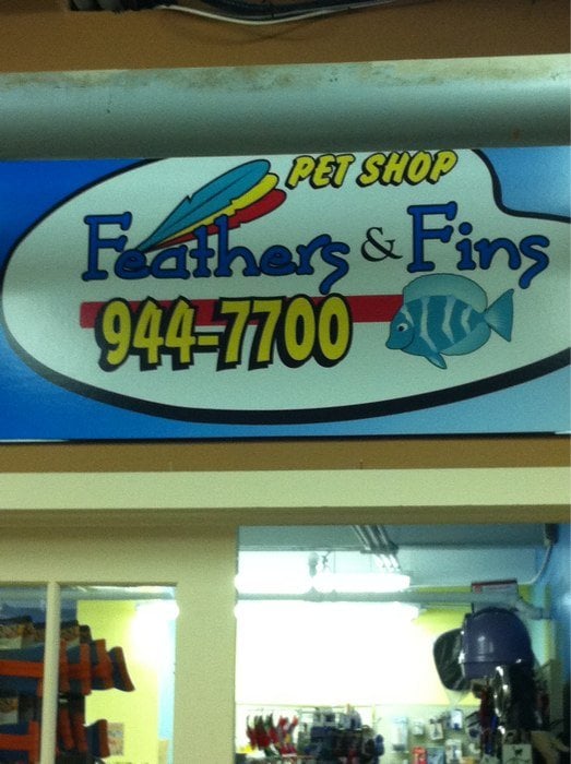 FEATHERS AND FINS PET SHOP Updated June 2024 201 Humber Avenue