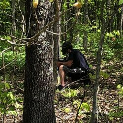 Bigfoot Hollow