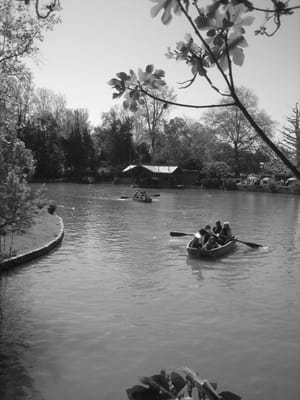 Parc Borély by null