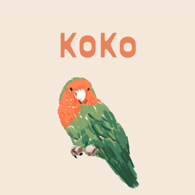 Koko by null