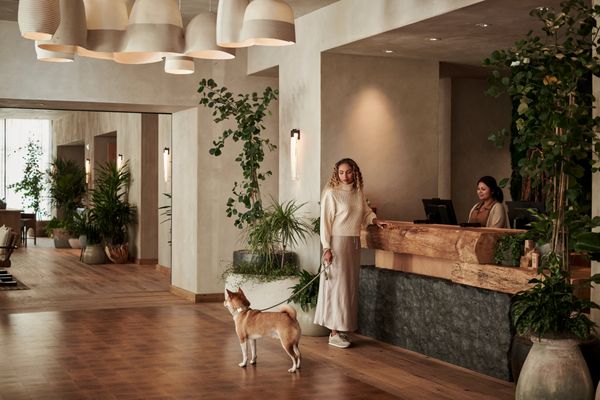 1 Hotel San Francisco by null