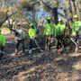 Photo of TreePro Professional Tree Care