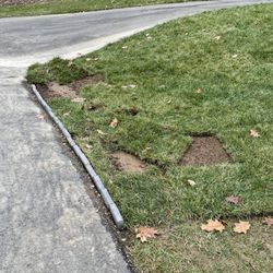 Domino's Pizza - This is my yard on both sides of the driveway after the Dominos delivery last night ‍