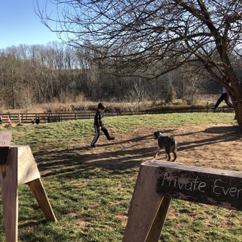 Rocklands Farm Winery - The Mulberry. This tree along with the laid back vibe and the friendliness of staff are the reasons we come to Rocklands - CSA Near Me - Poolesville, Maryland
