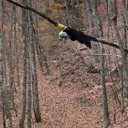 Ridge Runner Campground - Haunted Trail