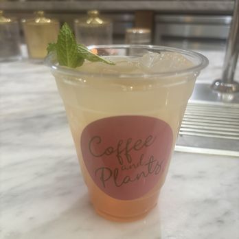 Coffee and Plants - Peach, Please - Coffee & Tea Near Me - Pasadena, California Coffee and Plants - Peach, Please - Coffee & Tea Near Me - Pasadena, California