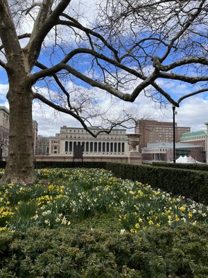 Columbia University by null