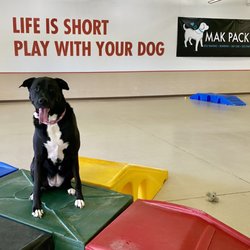 Mak Pak Dog Park - MakPack Indoor Dog Park, Chandler