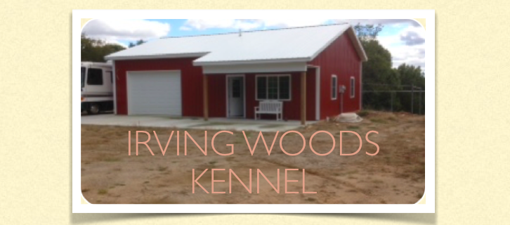 Irving Woods Kennel - pet boarding facility in Middleville, MI