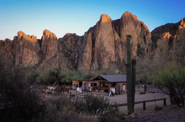 Saguaro Lake Guest Ranch by null
