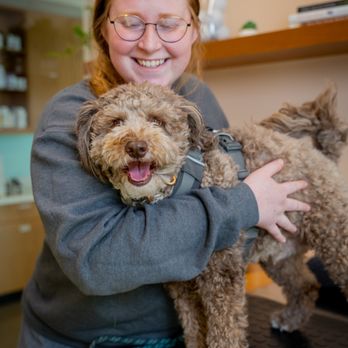 Sploot Veterinary Care - Platt Park - Veterinarians Near Me - Denver, Colorado Sploot Veterinary Care - Platt Park - Veterinarians Near Me - Denver, Colorado