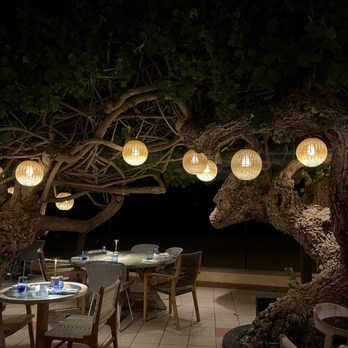 Hau Tree - Restaurant view - Seafood Near Me - Honolulu, Hawaii