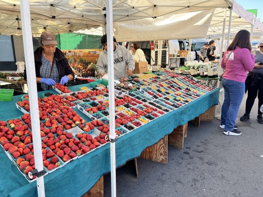 Hillcrest Farmers Market by null