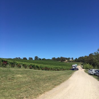Golding Wines - Wineries Near Me - Lobethal, SA
