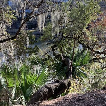 Mayfield Park - Parks Near Me - Austin, Texas