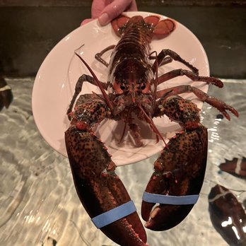Salt Cellar - Seafood Near Me - Scottsdale, Arizona Salt Cellar - Seafood Near Me - Scottsdale, Arizona