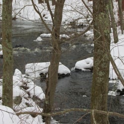 Forge Pond Conservation Area - Brook
