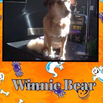 Funky Fresh Pet Grooming - Pet Groomers Near Me - Milford, Pennsylvania Funky Fresh Pet Grooming - Pet Groomers Near Me - Milford, Pennsylvania
