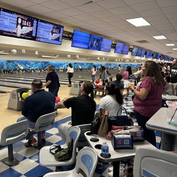 BIRD BOWL - Updated January 2026 - 348 Photos & 429 Verified Reviews