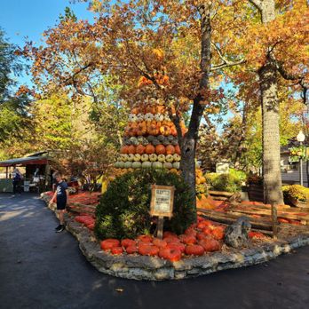 Silver Dollar City - Very Decorative - Amusement Parks Near Me - Branson, Missouri Silver Dollar City - Very Decorative - Amusement Parks Near Me - Branson, Missouri