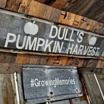 Dull’s Tree Farm - Pumpkin Patches Near Me - Thorntown, Indiana Dull’s Tree Farm - Pumpkin Patches Near Me - Thorntown, Indiana