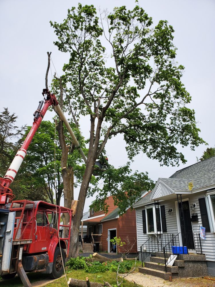 DEFINED PROPERTY SOLUTIONS Updated September 2024 24 Photos