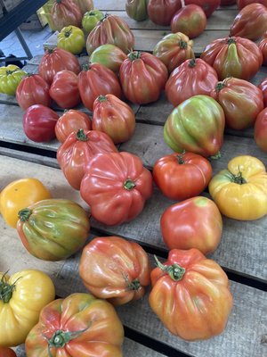 79th Street Greenmarket by null