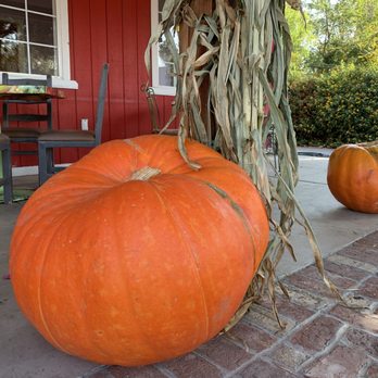 Denny's - Fall time - Diners Near Me - Santa Barbara, California Denny's - Fall time - Diners Near Me - Santa Barbara, California