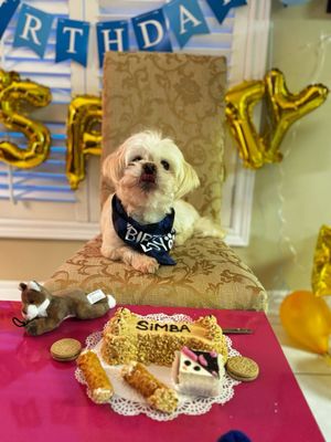 Three Dog Bakery by null
