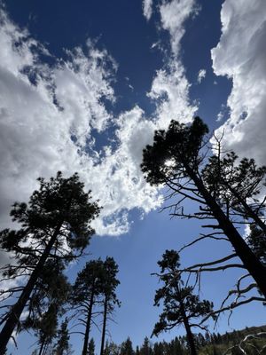 Noble Canyon Trailhead by null