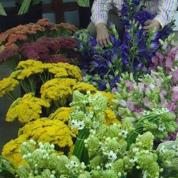 Perla Farms - Miami flower delivery Perlafarms.com - Wedding Planning Near Me Perla Farms - Miami flower delivery Perlafarms.com - Wedding Planning Near Me