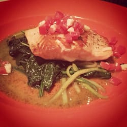Salmon