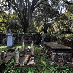 Rice Hope Plantation Bed & Breakfast