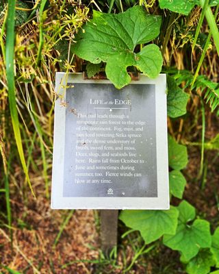 Cape Disappointment by null