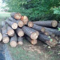 Scott's Tree and Stump Removal Services
