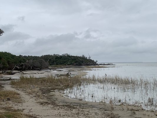 Aransas National Wildlife Refuge by null