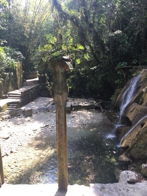 Las Pozas by null
