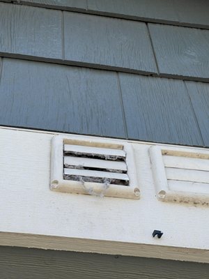 Norris & Stevens - Portland