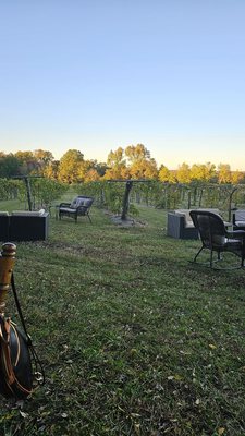 Dover Vineyards by null