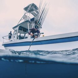 Pacific Yacht Towers - Tower on a 22' Davis