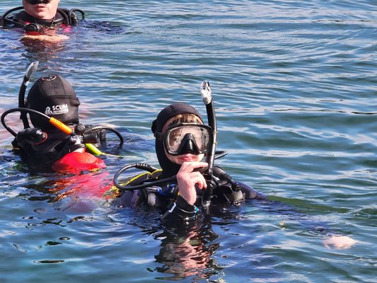 Scuba Adventures Plano